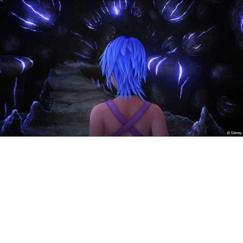 Kingdom Hearts HD 2.8: Final Chapter Prologue [PS4]